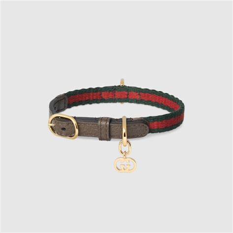 gucci feline ring on hand|luxury gucci cat collar.